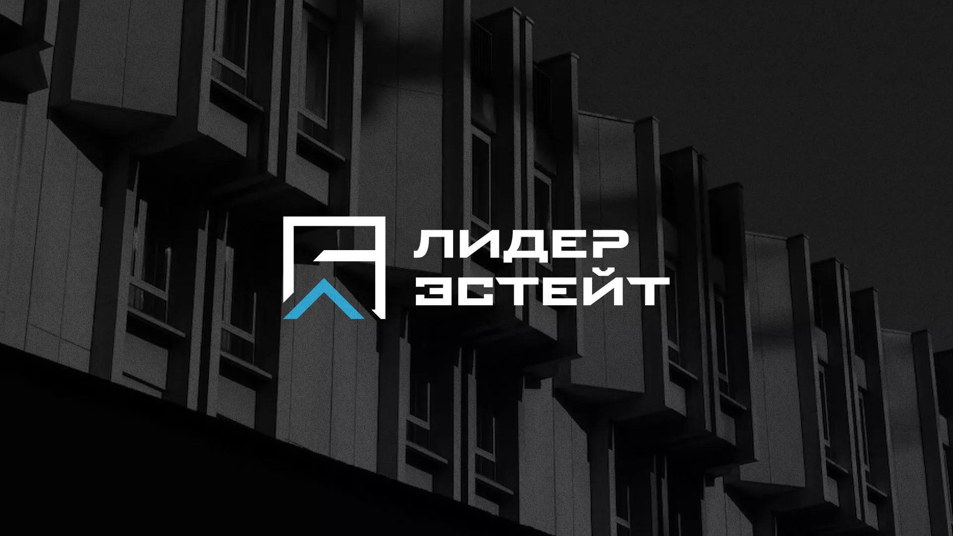 Разработка логотипа агентства недвижимости «Лидер Эстейт» в Сланцах